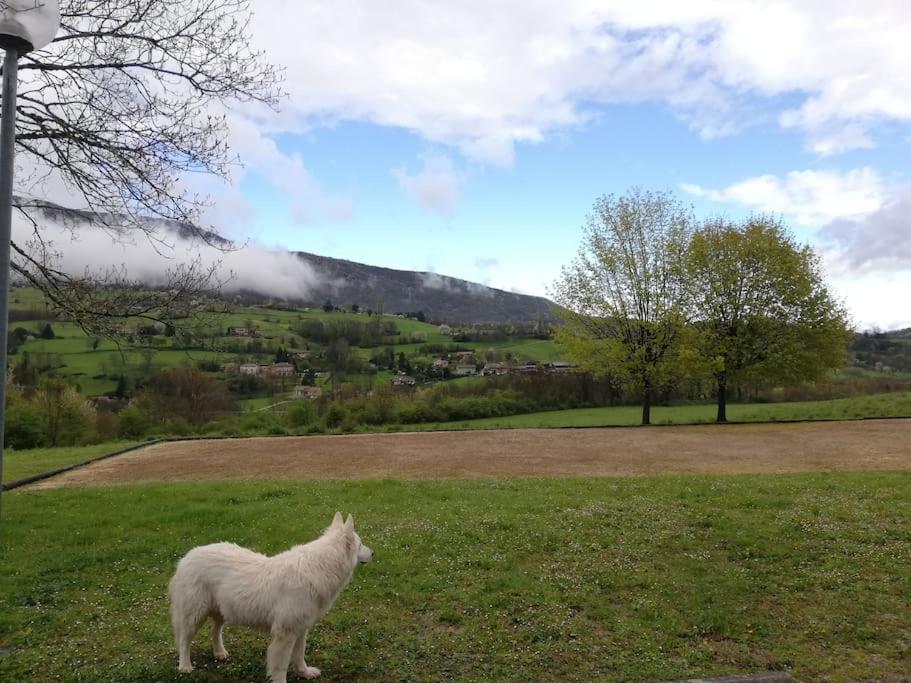 Logement Standing Wifi Vercors 'In Saint-Jean-en-Royans Kültér fotó